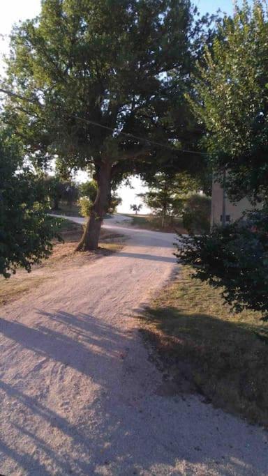Casa In Campagna La Roverella Francavilla d'Ete Ngoại thất bức ảnh