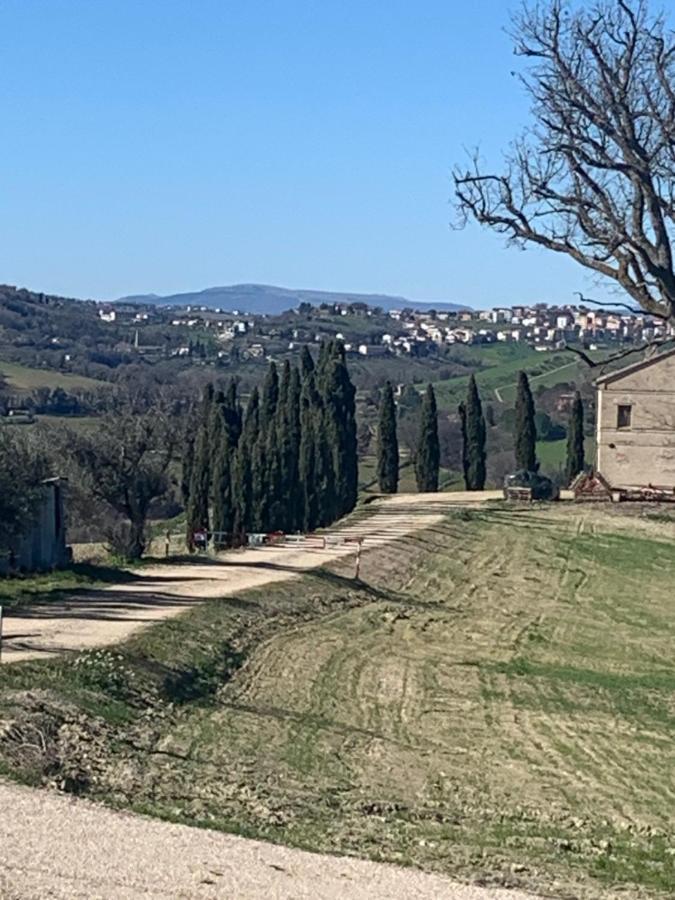 Casa In Campagna La Roverella Francavilla d'Ete Ngoại thất bức ảnh